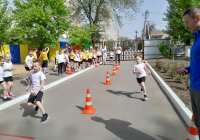 img (12)